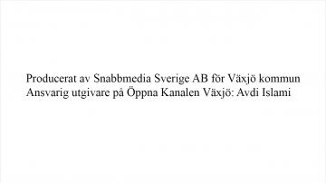 Växjö kommunfullmäktige 2019-05-21