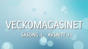 Veckomagasinet S2A11