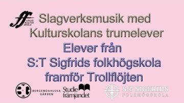 Kulturskolan och S:t Sigfrids folkhögskola